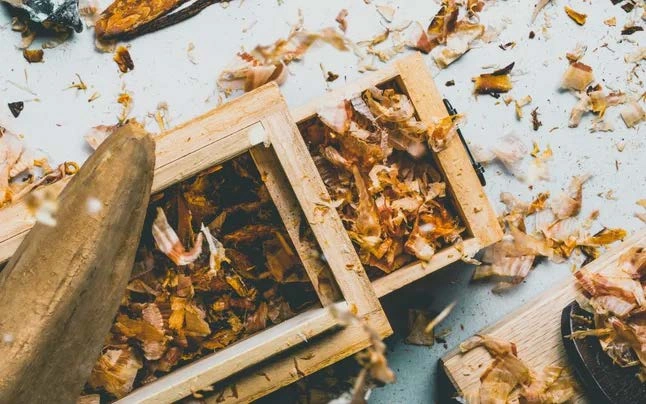 GARAKU 수프의 고집