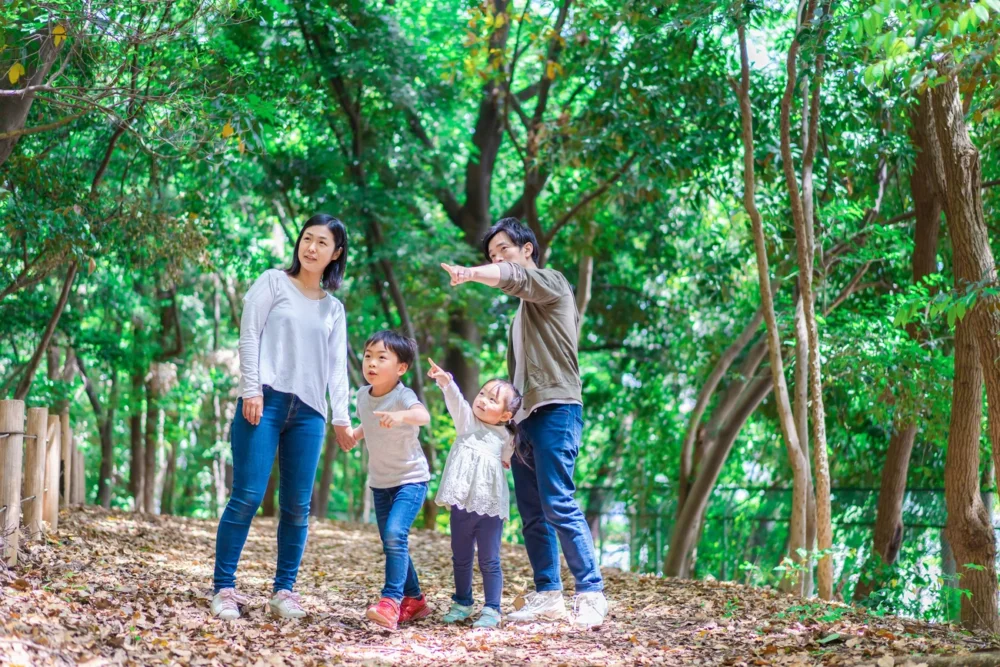 12월까지 대상! 초등학생 이하 무료 플랜