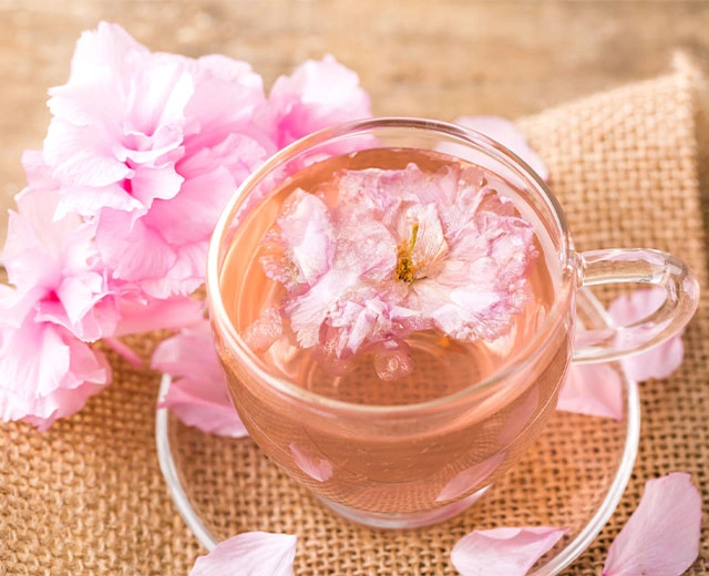 봄의 라운지 「벚꽃」 메뉴