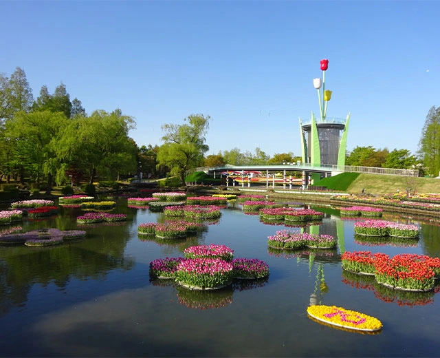 튤립 페어 입장권 포함