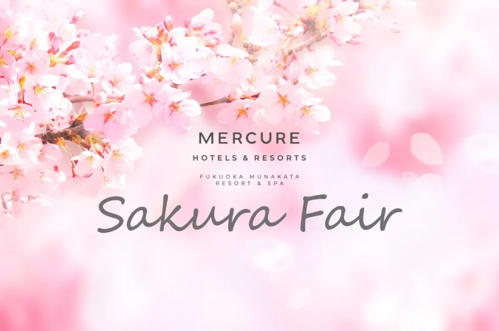 사쿠라 페어